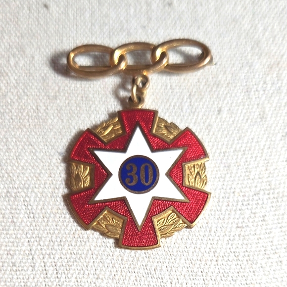 ODD FELLOWS 30 YEAR MEMBER PIN KANSAS 8222 - Picture 1 of 5